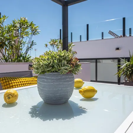 Casa Z Apartment *